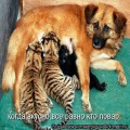 Картинки № 572