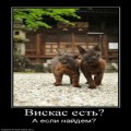 Картинки № 591