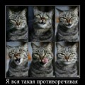 Картинки № 594