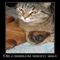Картинки № 596
