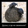 Картинки № 599