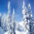 Картинки № 690