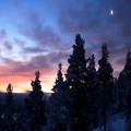 Картинки № 698