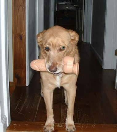 Фотоприколы 6 24 Фотоприколы 6 24