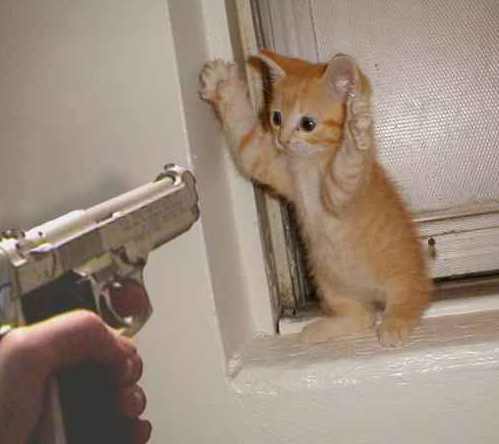 Фотоприколы 6 64 Добавлено 22-06-2005 Фотоприколы 6 64 Добавлено 22-06-2005