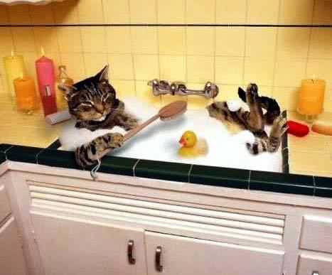 Фотоприколы 6 4 Фотоприколы 6 4