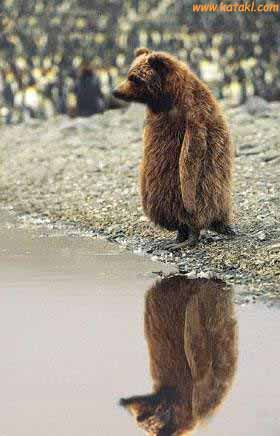 Фотоприколы 6 7 Фотоприколы 6 7