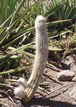 Фотоприколы 6 89 Добавлено 22-10-2006 Фотоприколы 6 89 Добавлено 22-10-2006