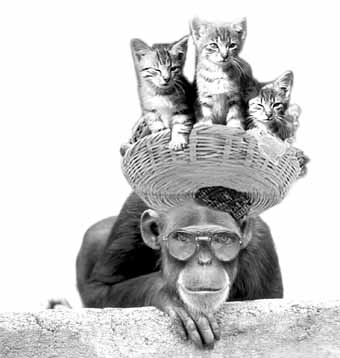 Приколы 4 1 Приколы 4 1