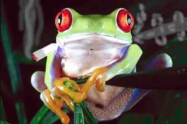 Приколы 4 4 Приколы 4 4