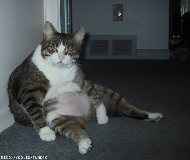 Приколы 4 7 Приколы 4 7