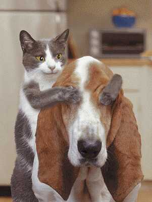 Приколы 4 16 Приколы 4 16