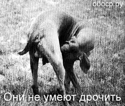 Приколы 4 48 Приколы 4 48