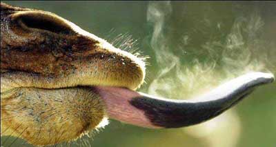 Приколы 4 62 Приколы 4 62