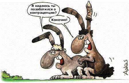 Приколы 4 64 Приколы 4 64