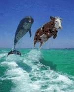 Приколы 4 70 Приколы 4 70