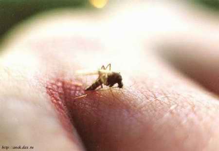 Приколы 4 72 Приколы 4 72