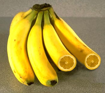 Приколы 4 74 Приколы 4 74