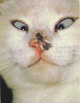 Приколы 4 76 Приколы 4 76