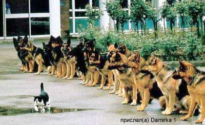 Приколы 4 80 Приколы 4 80