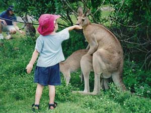 Приколы 1 12 Приколы 1 12