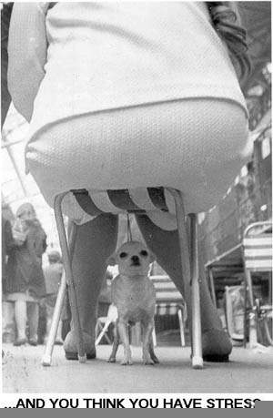 Приколы 1 15 Приколы 1 15