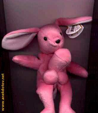 Фотоприколы 3. 12 Фотоприколы 3. 12