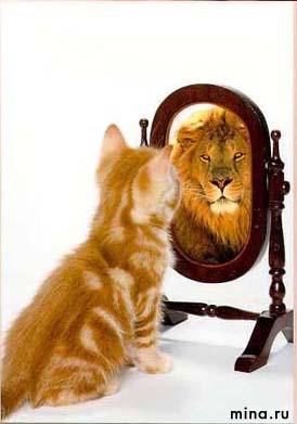 Фотоприколы 3. 29 Фотоприколы 3. 29