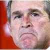   / George Bush 8 .  