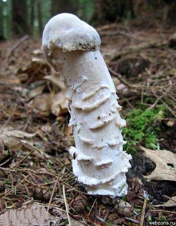 Эротические картинки 33 Добавлено 07-12-2006 Эротические картинки 33 Добавлено 07-12-2006