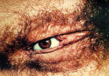 Эротические картинки 11 Добавлено 12-07-2005 Эротические картинки 11 Добавлено 12-07-2005