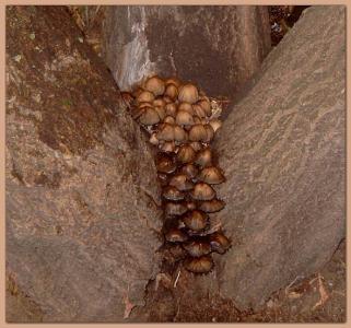 Эротические картинки 42 Добавлено 13-10-2007 Эротические картинки 42 Добавлено 13-10-2007