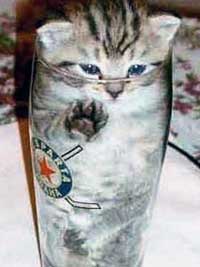 ФотоПриколы 5 17 ФотоПриколы 5 17