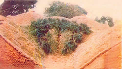 ФотоПриколы 5 39 ФотоПриколы 5 39