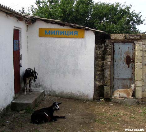 Животные 20 Добавлено 07-02-2006 Животные 20 Добавлено 07-02-2006